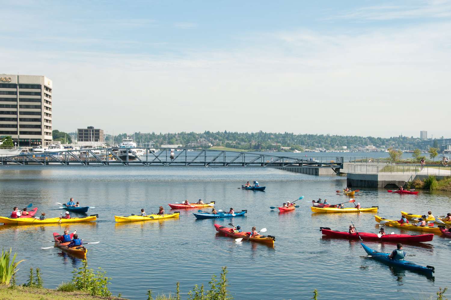 Ballard Kayak & Paddleboard Tours